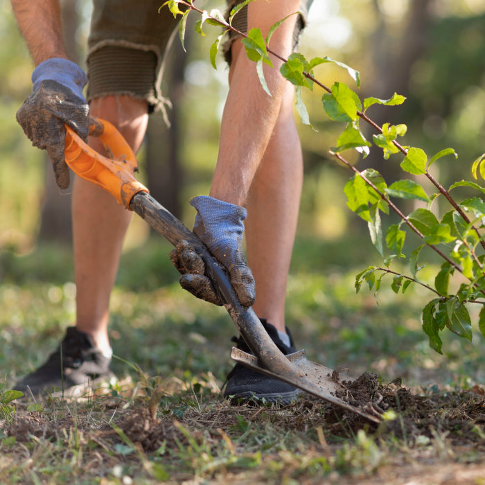 Jardinage Argenteuil 95