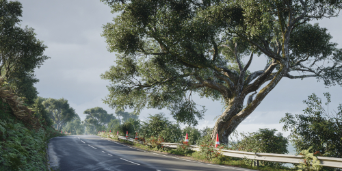 Élagage en bordure de route